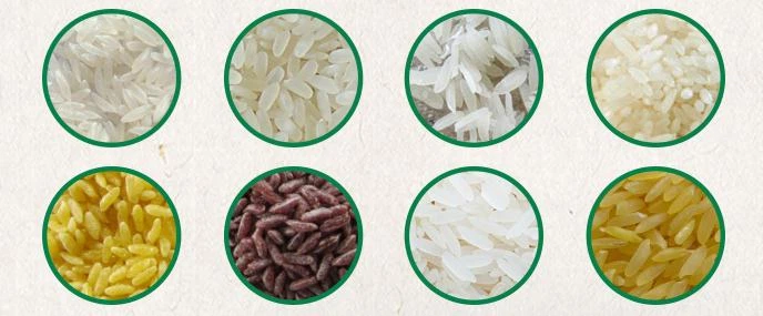 Artificial Rice Production Machinery
